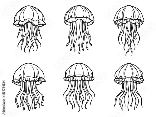 Elegant jellyfish floating underwater simple line art