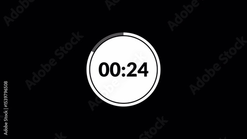30 seconds countdown timer animation, from 30 to 0 seconds on transparent background. 30 second countdown timer, Countdown video.	