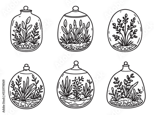 Elegant line art terrarium featuring cactus and greenery