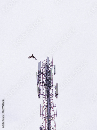 Close-up view of a tall cellular communication tower with visible antennas against a pale cloudy sky background