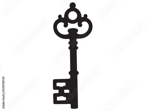 VINTAGE KEY SILHOUETTE