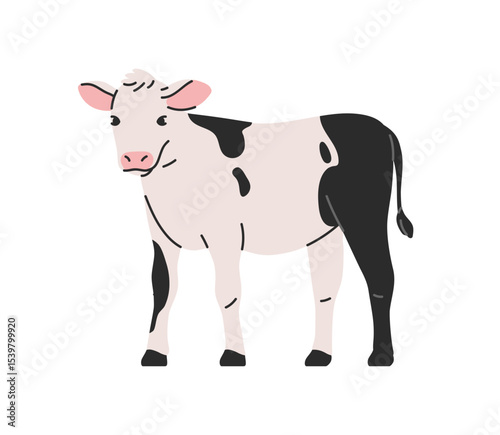 Calf standing. Small young cow, dairy animal with spotted pattern. Rural countryside livestock. Cattle kid, cute baby cub. Agriculture farm. Flat vector illustration isolated on white background