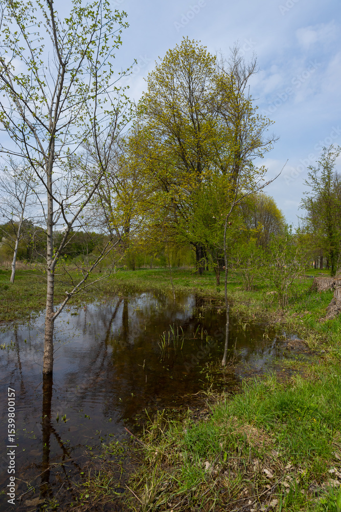 Obraz premium Vivid spring landscape in Ternopil oblast Ukraine featuring lush greenery and tranquil waters
