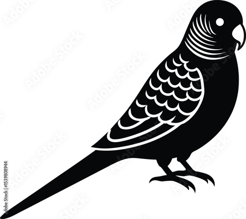 Budgerigar Budgie silhouette vector art illustration and minimal black and white design