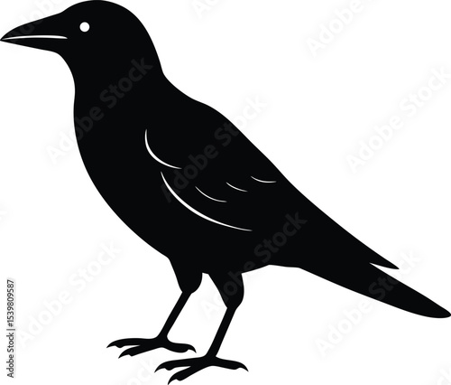 Jungle Crow Bird silhouette vector art illustration