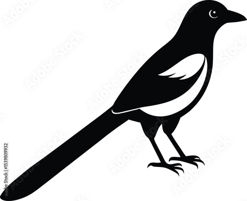 Red Billed Blue Magpie silhouette vector art illustration and minimal black and white design
