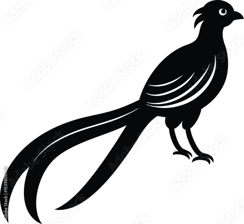 Resplendent Quetzal Bird silhouette vector art illustration and minimal black and white design