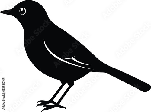 Thrush Bird silhouette vector art illustration