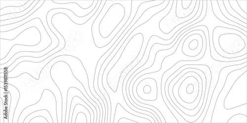 Abstract topographic white background. Seamless wavy lines patter. Geography map grid backdrop. Business concept design. Wave paper curved reliefs background.	