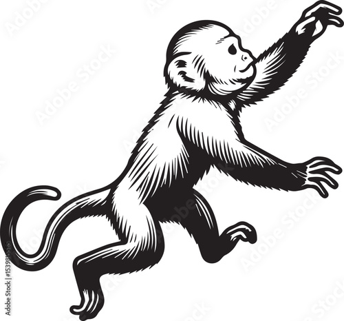 Capuchin Monkey Simple Black and White Vector Illustration