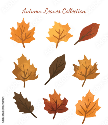 Autumn Leaves various hand drawn illustration collection
