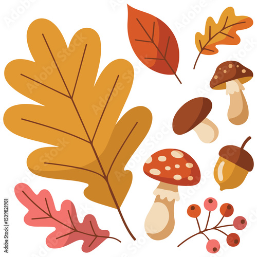 Autumn leaves acorns hand drawn vector isolated white background
