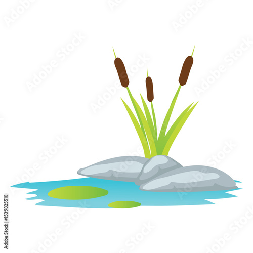 pond of water plants with separate white background