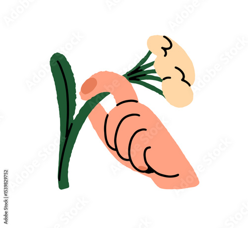 Branch of wildflower with little flowers is in human hand. Person holds twig of blooming meadow plant. Sprig of Achillea or Yarrow. Floral gift. Flat isolated vector illustration on white background