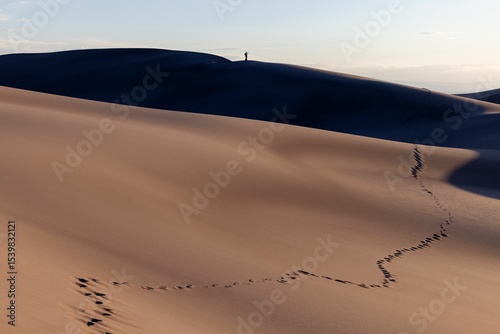 Fototapeta Naklejka Na Ścianę i Meble -  Solitary Figure on Sand Dunes