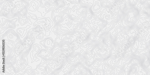 modern wavey contour out map line topography white and grey curved line white background. 