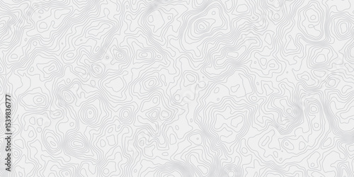 modern wavey contour out map line topography white and grey curved line white background. 