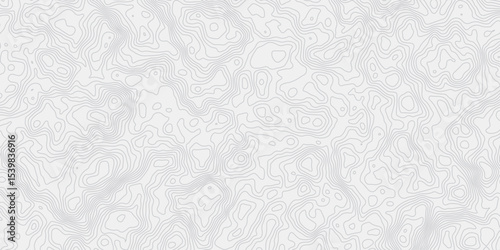 modern wavey contour out map line topography white and grey curved line white background. 