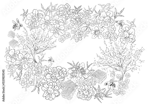 Wallpaper Mural Kanuka manuka illustration border and frame Torontodigital.ca