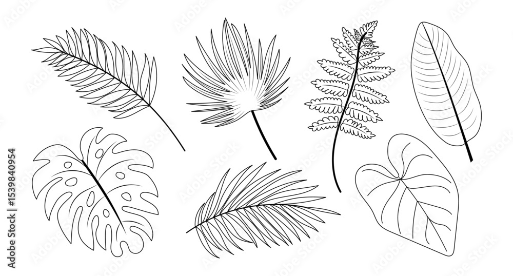 Fototapeta premium Set of various tropical and botanical leaves. Hand drawn, black outline, contour style. Vector illustration isolated on a white background. Botanical collection, eco-friendly design.