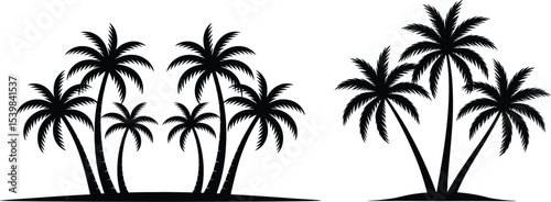 Silhouette of seven palm trees arranged symmetrically against a light gray background with a spotlight effect
