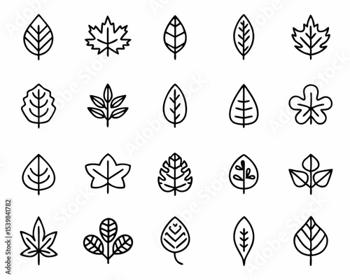 Collection of various leaf vector icons in line art style for botanical designs and nature illustrations