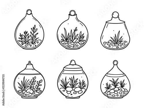 Hand drawn terrarium sketch with natural botanical elements