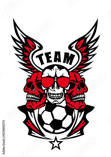 football tete de mort aile lunette team logo