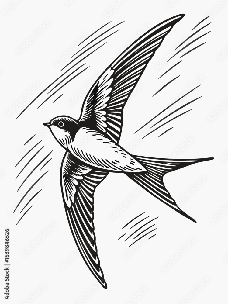 Fototapeta premium Swallow bird flying. Vector illustration of a swallow in flight.
