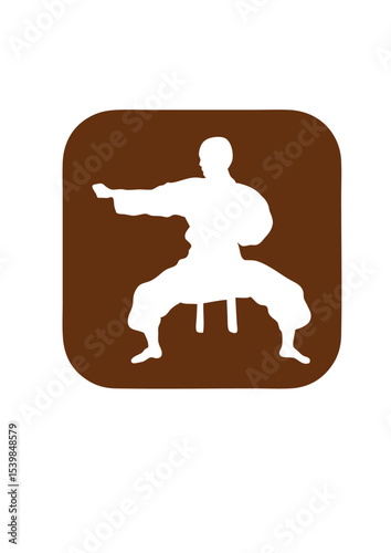 combat karate icone