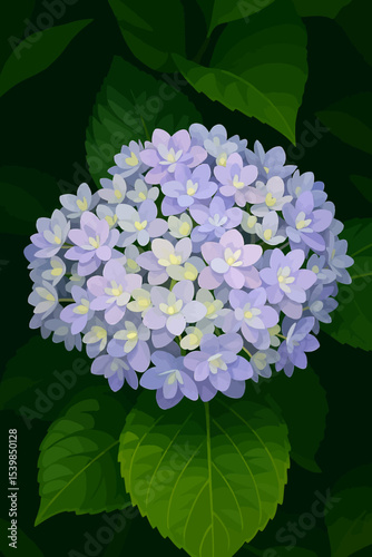 This is a digital illustration of a Hydrangea flower cluster. The bloom consists of numerous delicate, small, five-petaled flowers tightly packed into a large, rounded inflorescence. The petals are so
