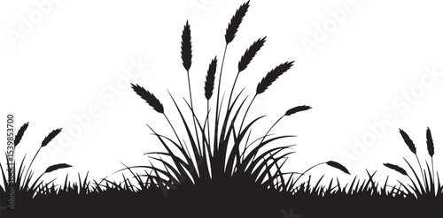 Wheat grass silhouette border design