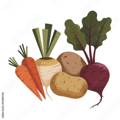 Fresh harvest vegetables carrots potatoes beetroot turnip
