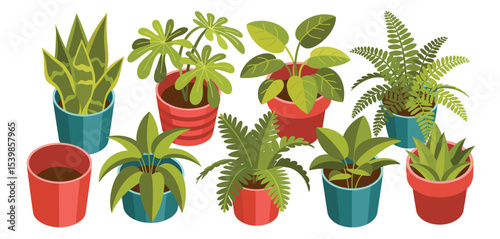 Collection of houseplants in colorful pots