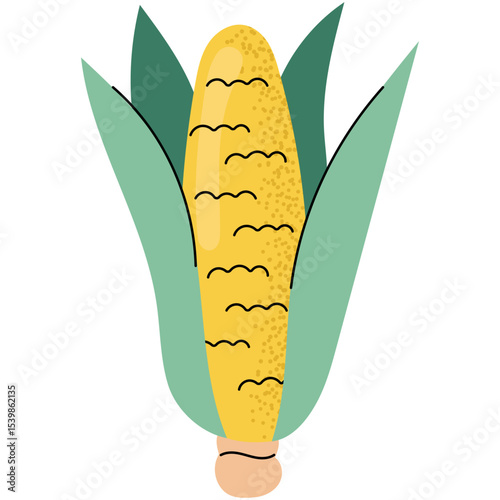 Flat vector illustration of an ear of corn with green husks. Perfect for summer designs, farming concepts and organic food themes.