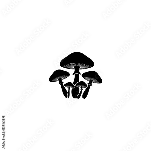 Cluster of black mushrooms on white background  