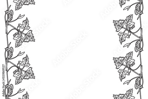 Line art botanical floral vertical border with grapevine isolated on white background. Hand drawn outline vine plant with long stem and leaves vector illustration. Graphic design element for Birthday