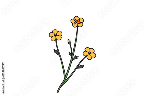 Botanical floral meadow bouquet isolated on white background. Hand drawn three wildflower plant with yellow flowers vector illustration. Graphic design element for Birthday Wedding Greeting Card Flyer