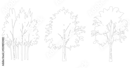 Outline Drawing of Three Different Tree Types