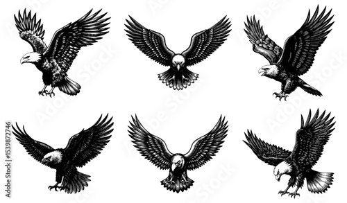 Eagles with spread wings in a black and white ink drawing style