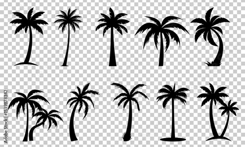 Palm Tree Icon Set – Tropical Nature Symbols for Travel, Summer, and Beach Design