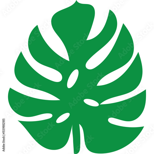 Tropical Monstera Leaf