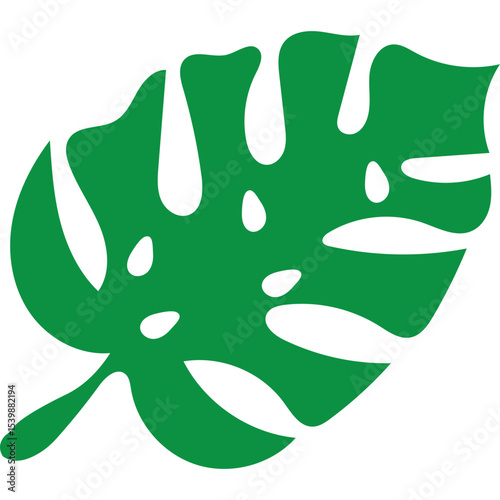Tropical Monstera Leaf