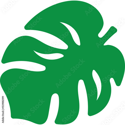 Tropical Monstera Leaf