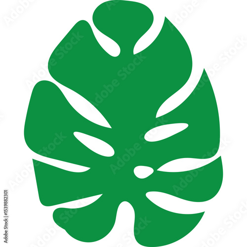 Tropical Monstera Leaf