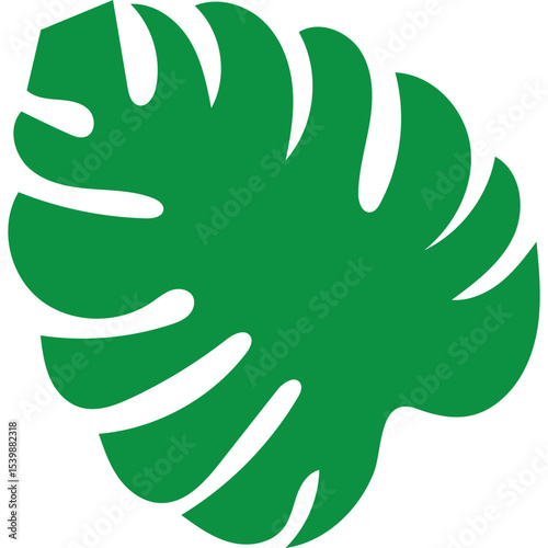 Tropical Monstera Leaf