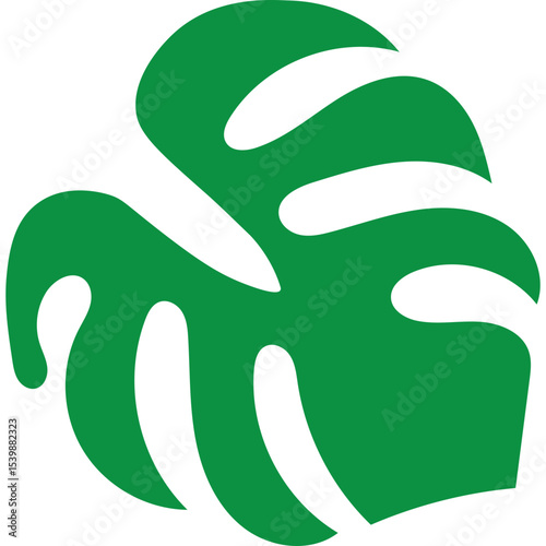 Tropical Monstera Leaf