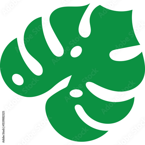 Tropical Monstera Leaf
