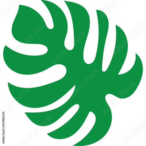 Tropical Monstera Leaf