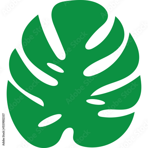 Tropical Monstera Leaf
